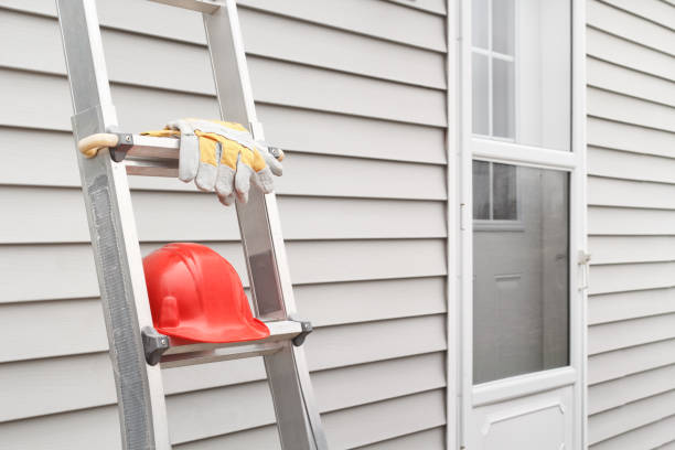Best Fascia and Soffit Installation  in Lincoln Park, MI